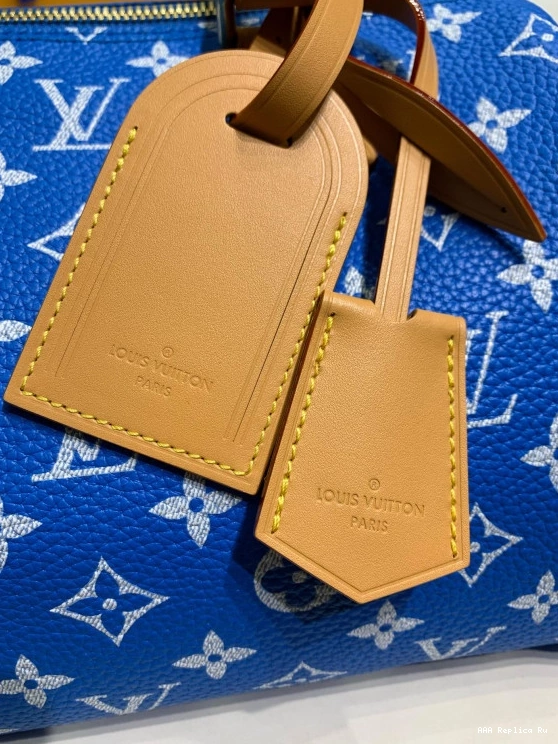 AAA Pruses Bags Louis SPEEDY Vuitton 25 0711